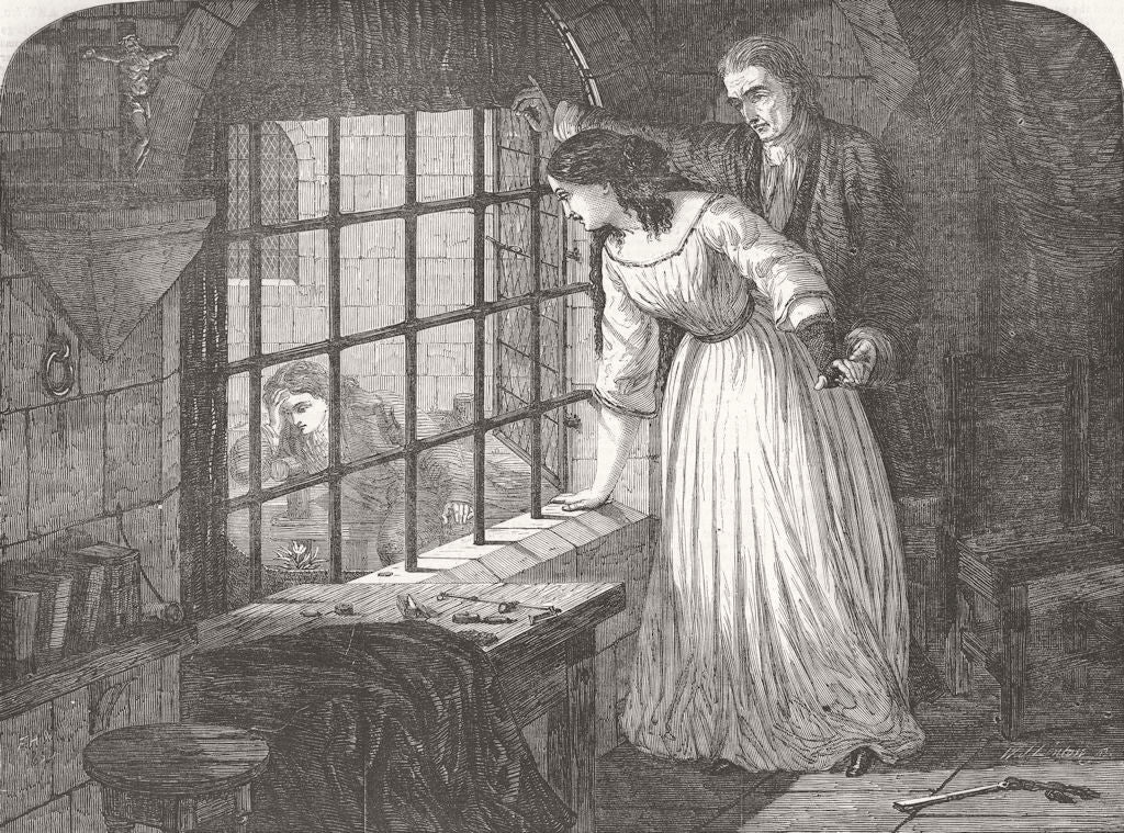 FLORALS. Picciola; or prison flower 1854 old antique vintage print picture